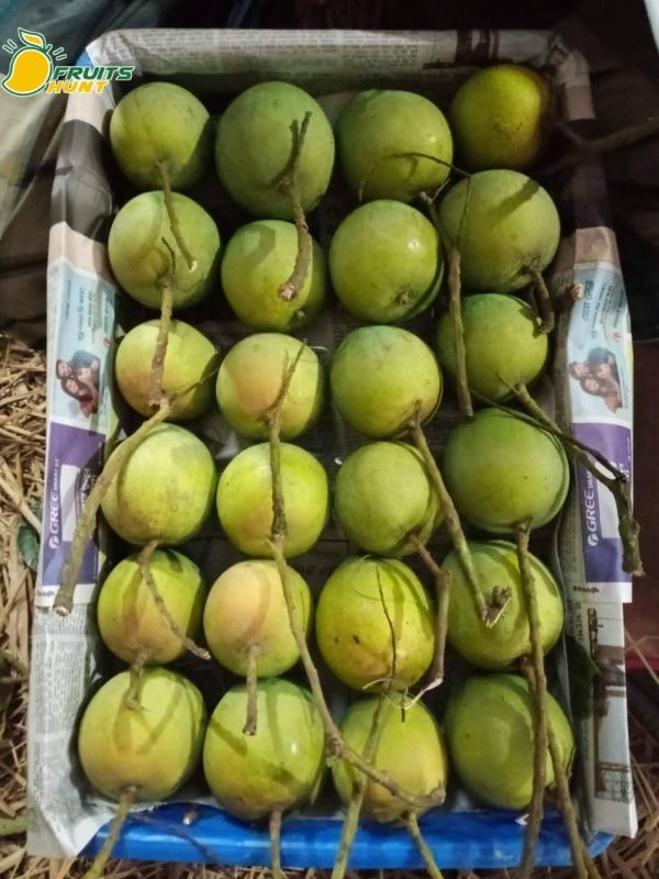 হাড়িভাঙ্গা ১২ কেজি - Image 2